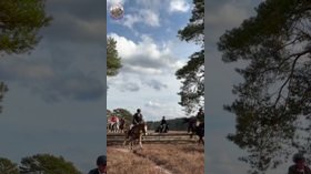 Vorschaubild zu Schleppjagd Misselhorner Heide 28.02.26