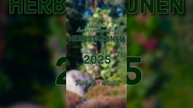 Vorschaubild zu Binden der Herbstkronen 2025