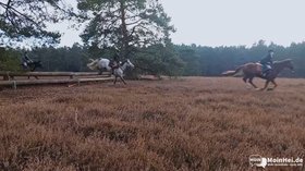 Vorschaubild zu MoinHei.de – Schleppjagd Misselhorner Heide 2025